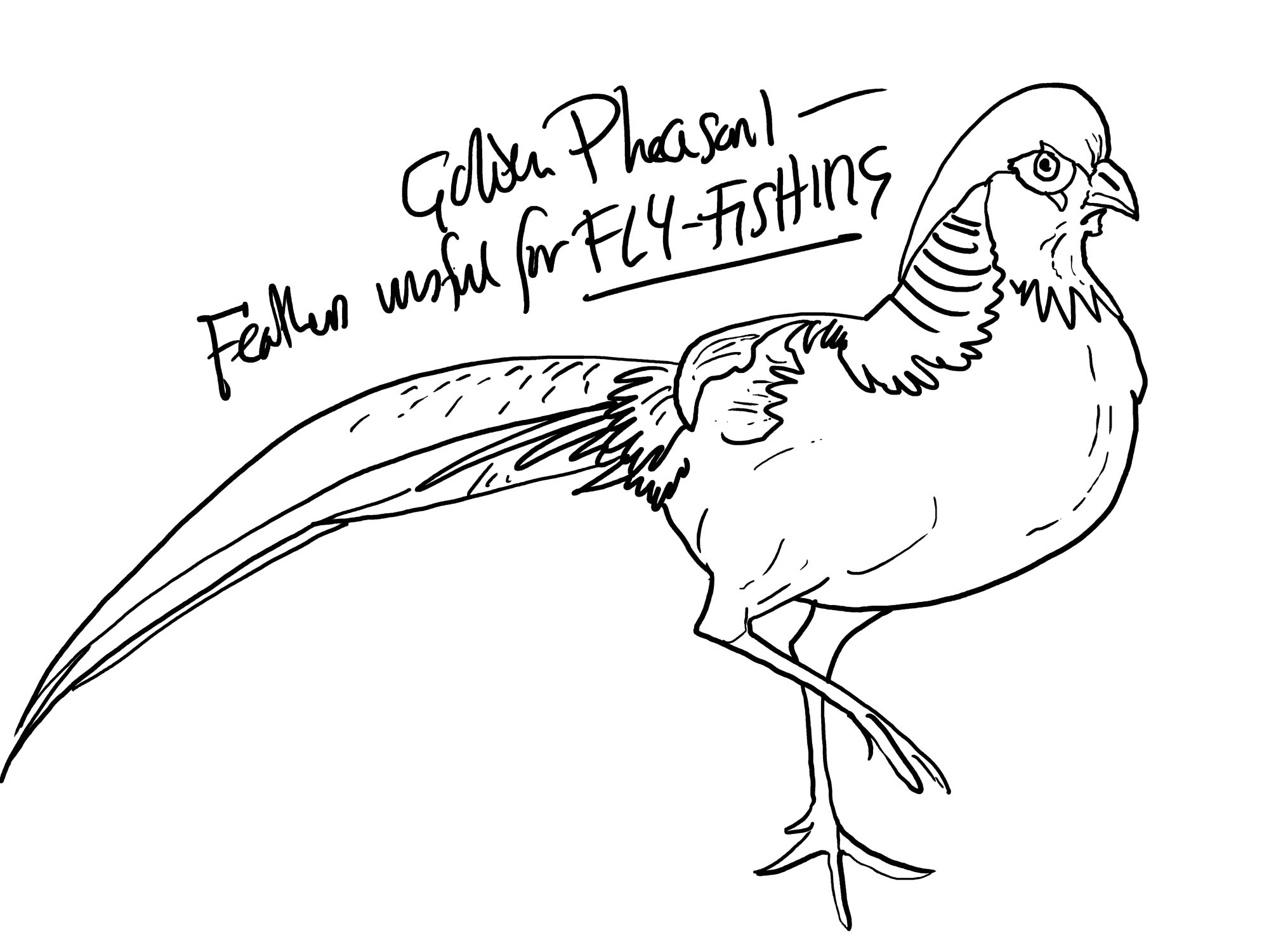 2000x1501 The Black Spider Strikes Again Animatetim