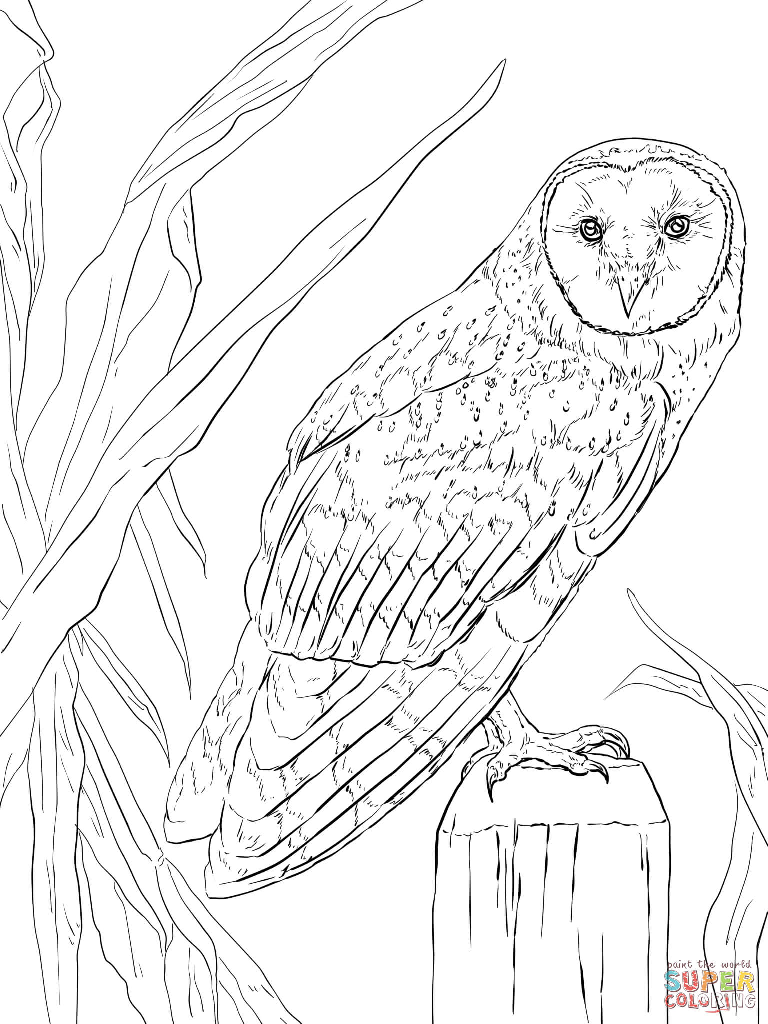 1536x2048 Walking Pheasant Coloring Page Free Printable Coloring Pages