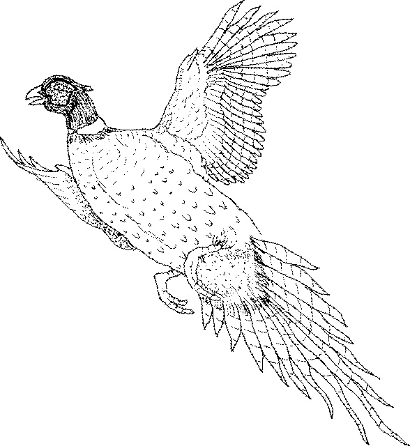 588x640 Artwork And Text