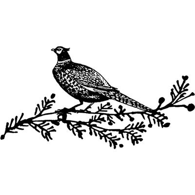 400x400 Christmas Pheasant