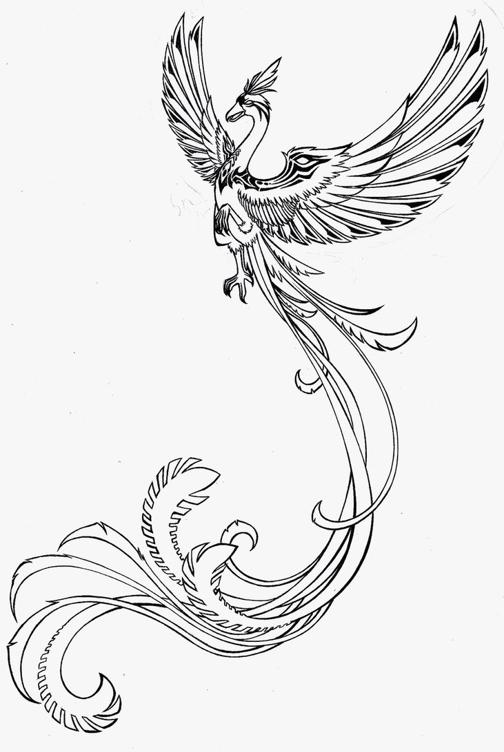 731x1092 Phoenix Tattoo By Larutanrepus