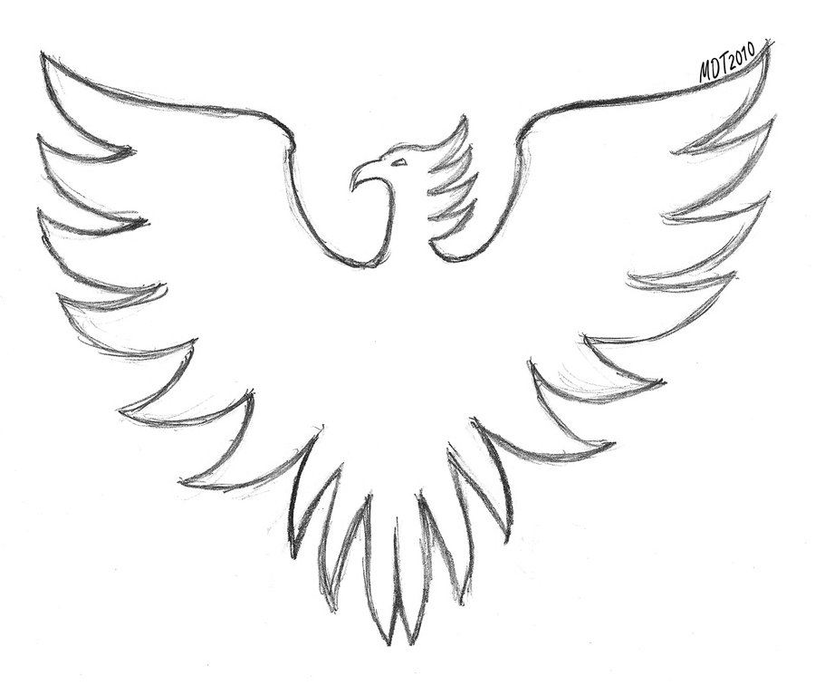 900x756 Simple Phoenix Drawing