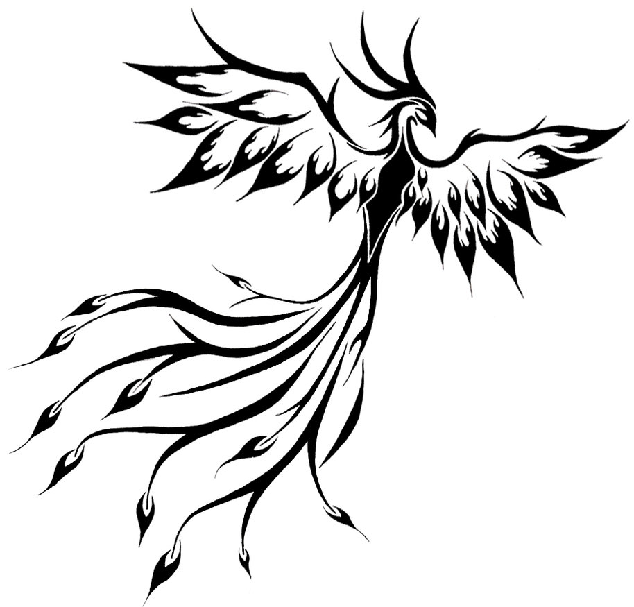 914x875 Collection Of Tribal Celtic Phoenix Tattoo Design