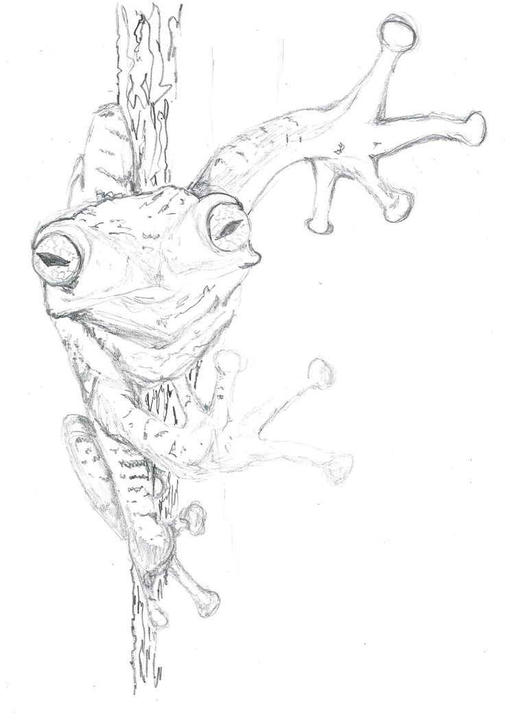 736x1045 94 Best Embrodiery Images On Draw, Horses And Drawing