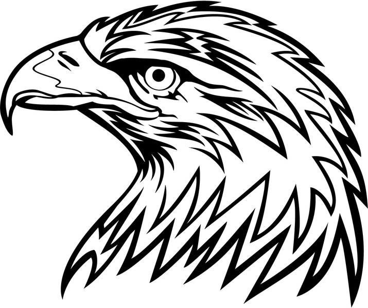 715x600 Eagle Head Clipart Amp Look At Eagle Head Clip Art Images