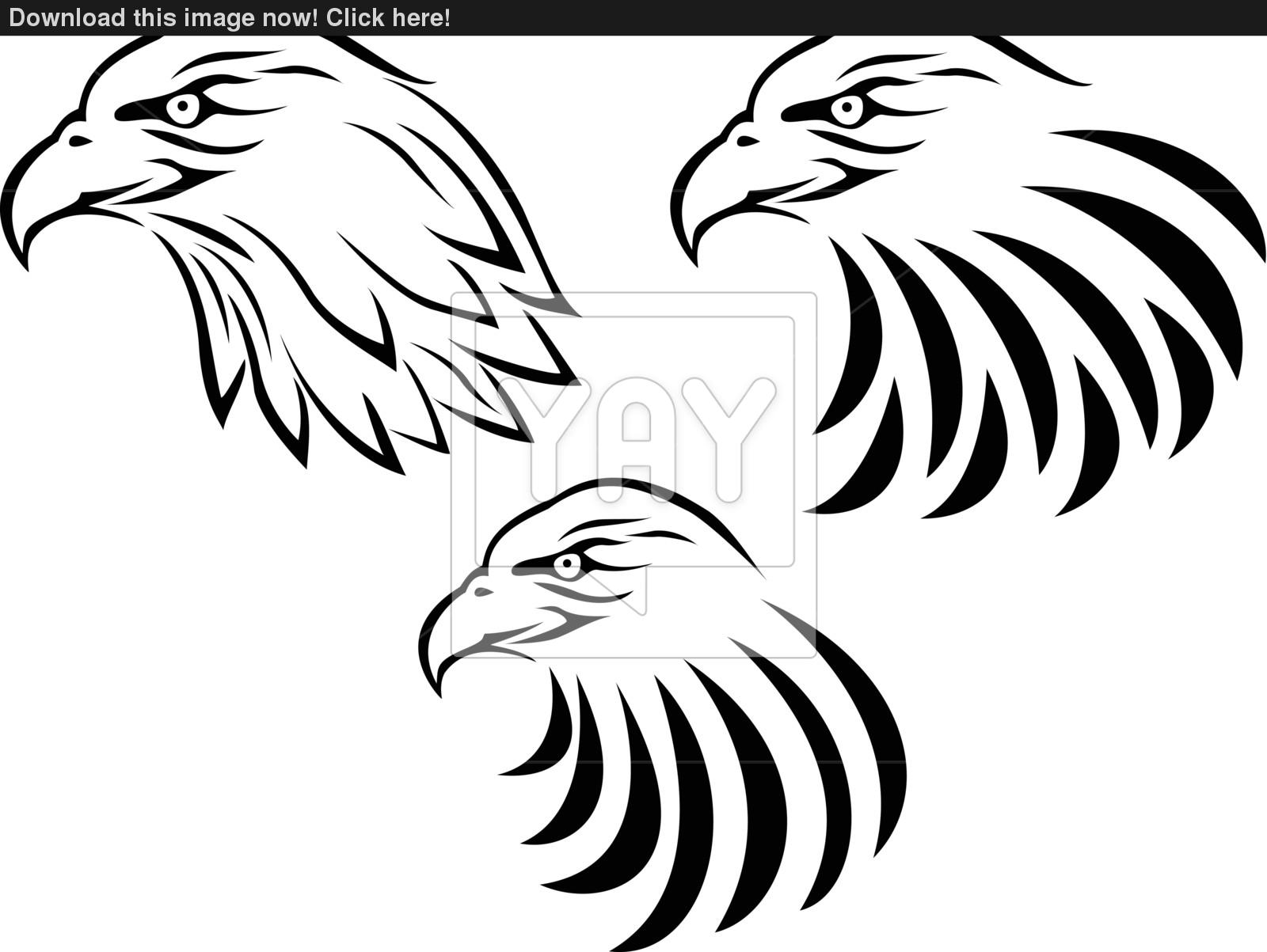 1600x1203 Eagle Head Tattoo Vector