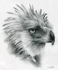 205x246 L Mendoza Haribon The Philippine Eagle Tattoo Ideas