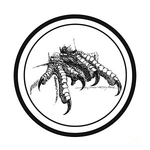 300x300 Philippine Eagle Drawings Fine Art America