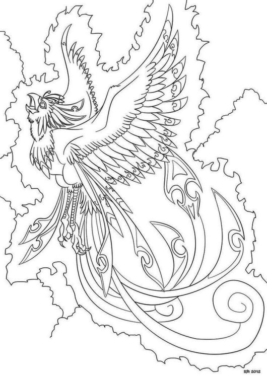 530x749 Phoenix Bird Coloring Page Free Printable In Beatiful Draw Photo