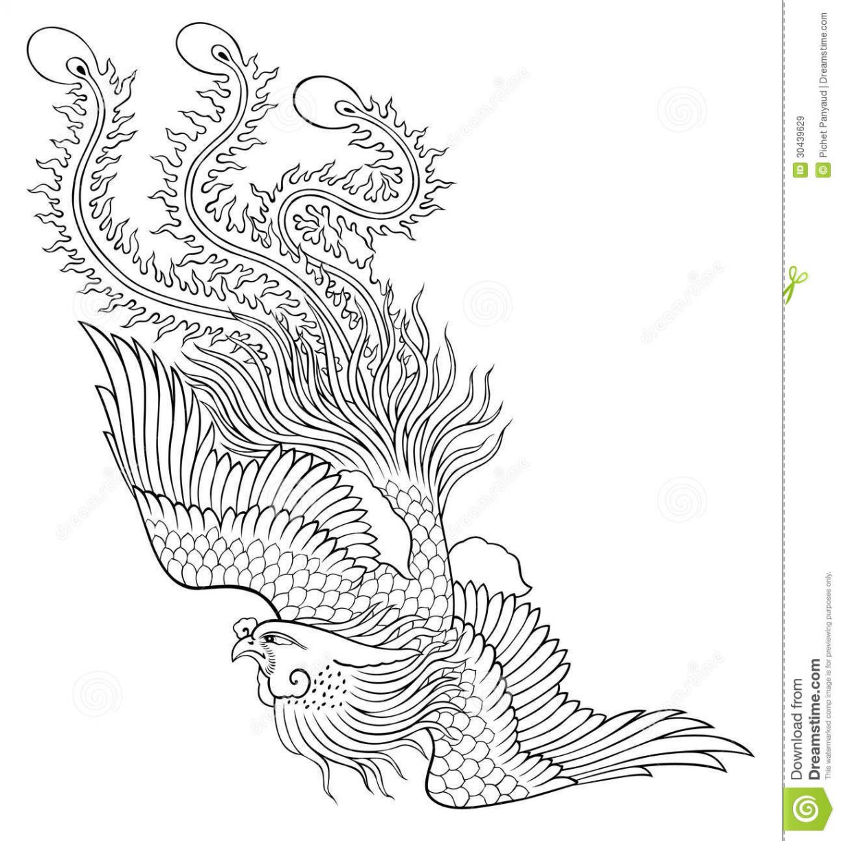 1224x1224 Phoenix Bird Coloring Pages Real Page Free Printable Animals Sheet