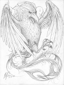 226x300 Phoenix Drawings