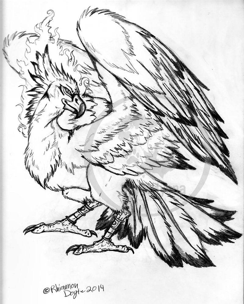 Phoenix Drawing at GetDrawings | Free download