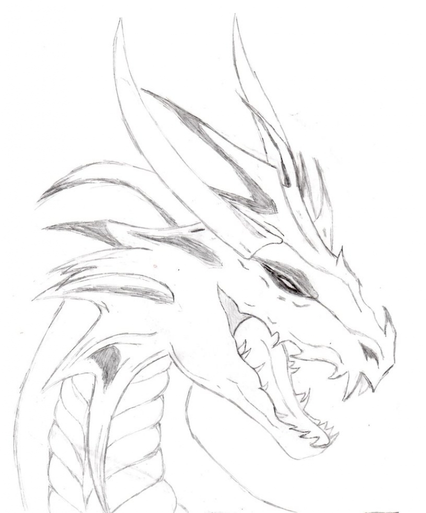 852x1024 Drawing Of A Dragon Dragon Drawing Phoenix Firemage