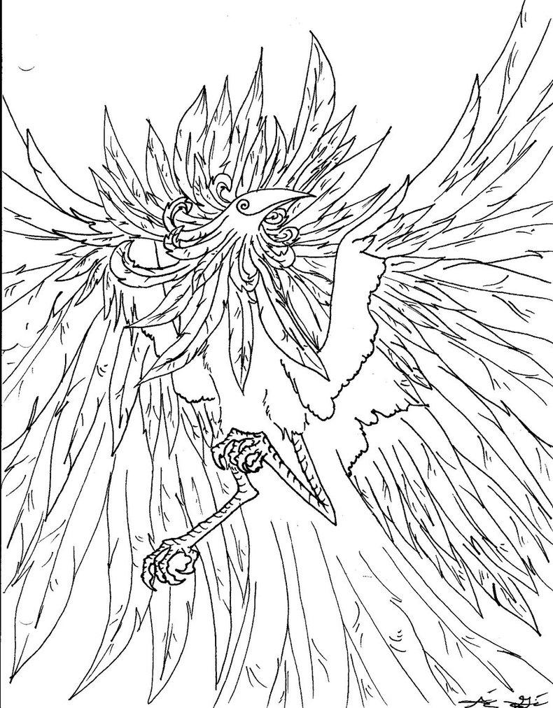 790x1012 Phoenix Rising Line Art By Flying Lemon