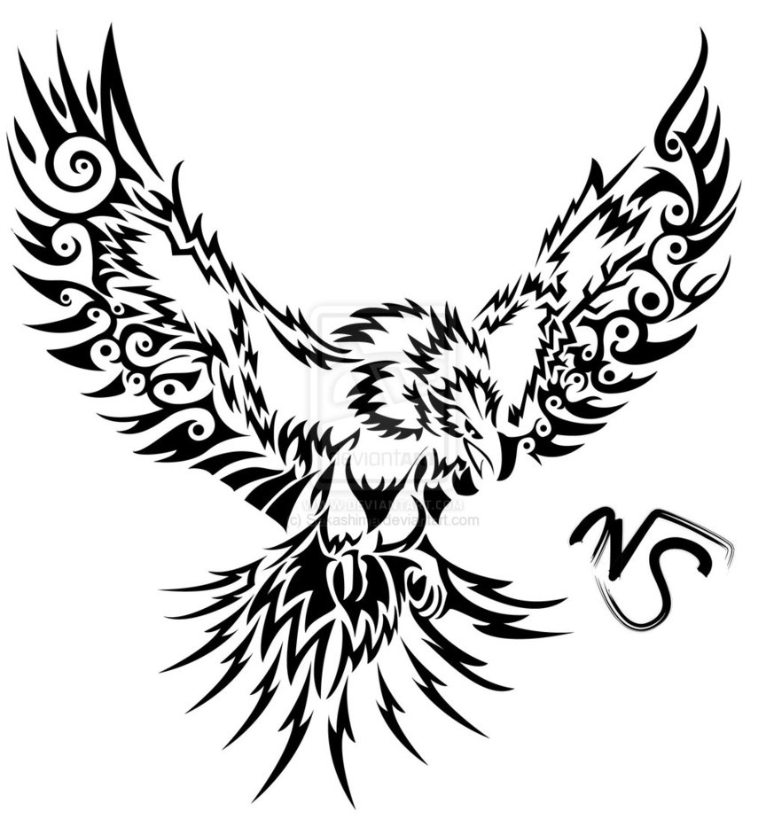 864x924 Drawn Eagle Phoenix Bird