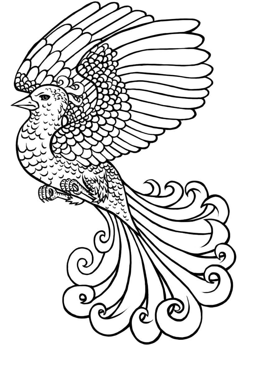 843x1188 Mythical Creatures Colouring Book On Behance