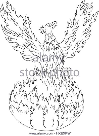 394x540 Phoenix Bird Black And White Stock Photos Amp Images