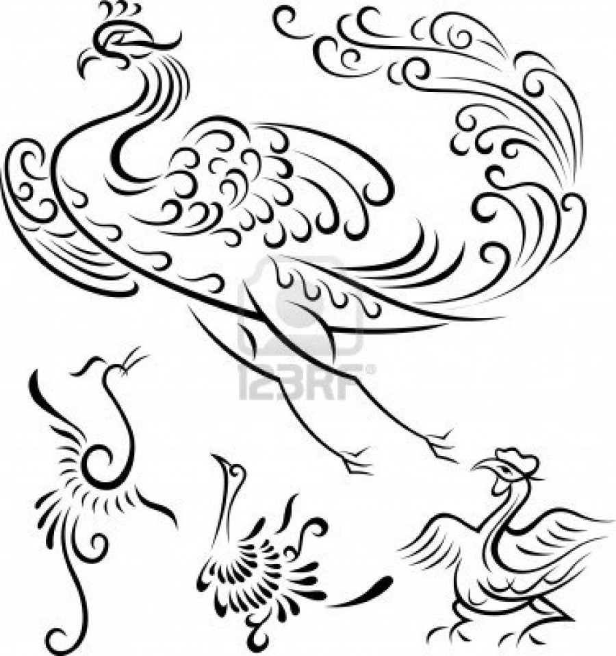 900x957 Tribal Peacock Phoenix Bird Outline Tattoos