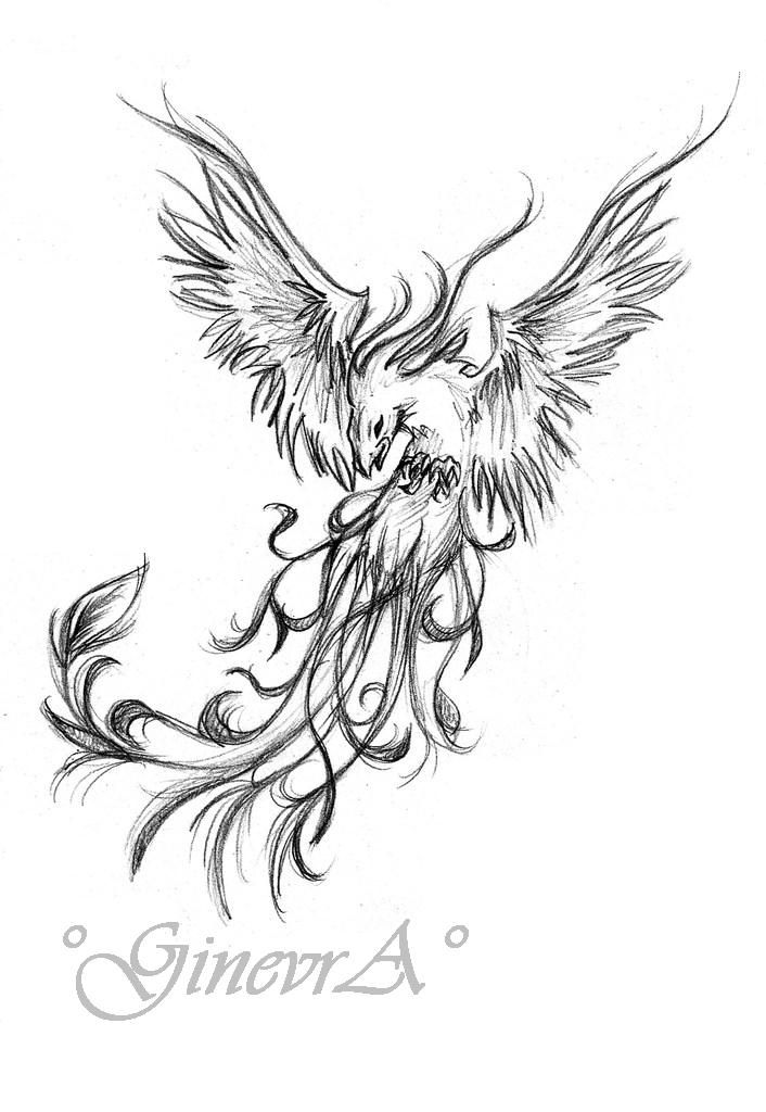 Phoenix Pencil Drawing at GetDrawings | Free download