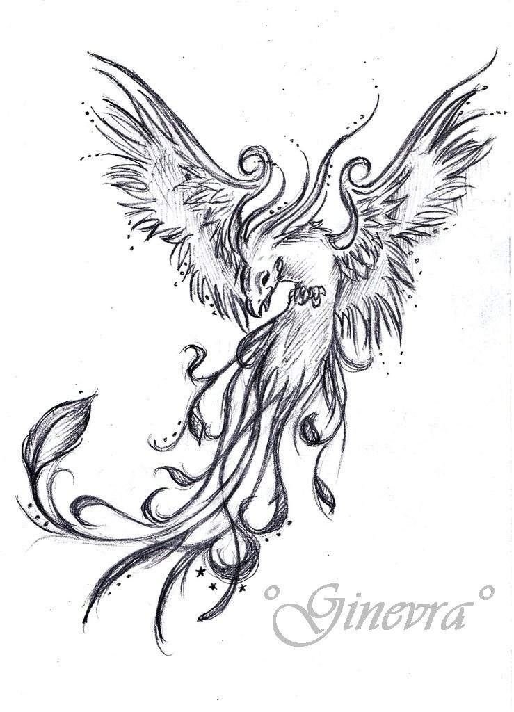739x1024 Phoenix Tattoo