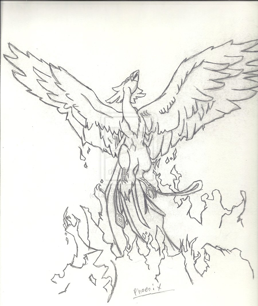 900x1069 9 Best Images Of Phoenix Drawings In Pencil