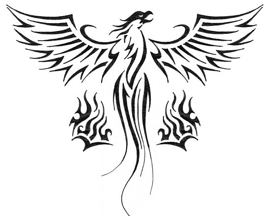 550x440 Nice Tribal Phoenix Tattoo Design