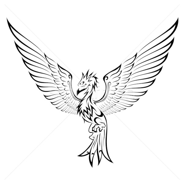 600x600 Phoenix Tattoo Vector Illustration Fransiskus Xaverius