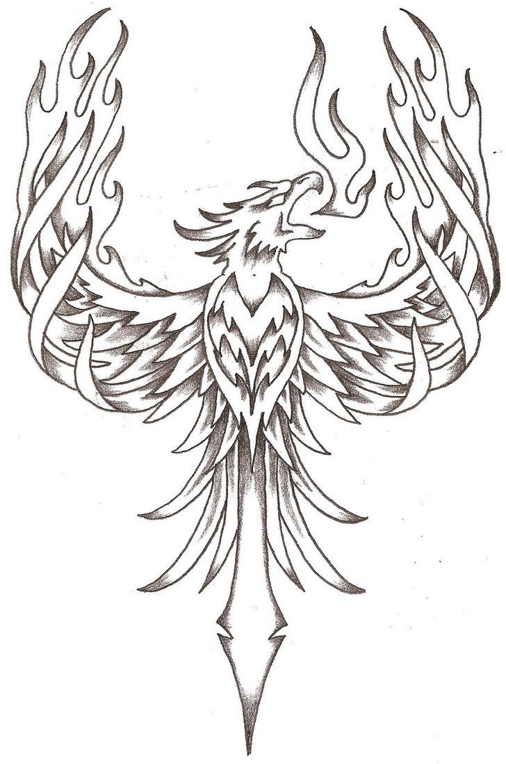 Phoenix Wings Drawing at GetDrawings | Free download