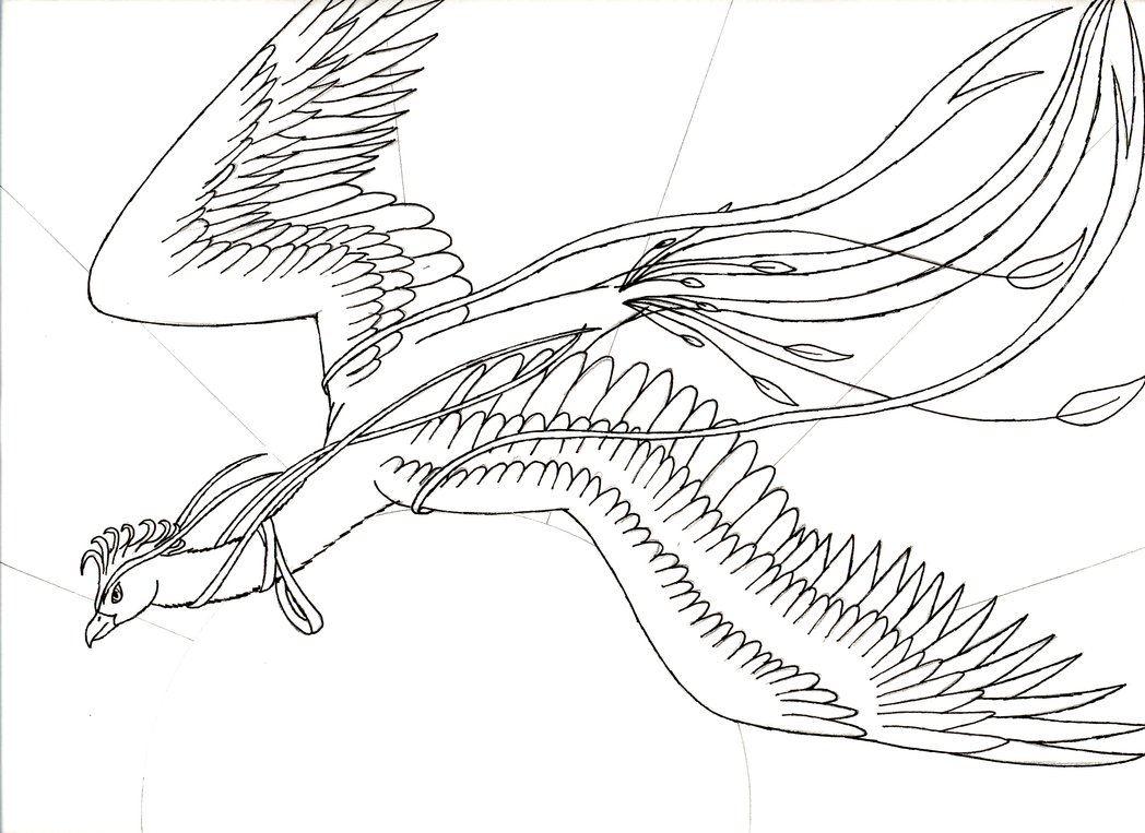 1048x763 Flight Of The Fire Phoenix By Chobaryu