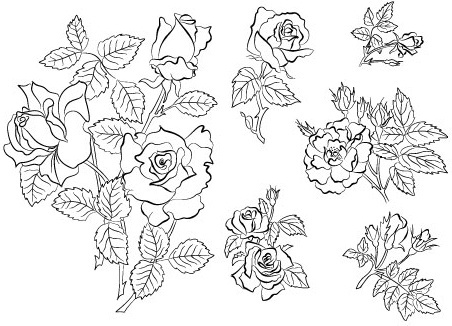 452x326 Hand Drawing Flowers Free Vector Download (100,373 Free Vector