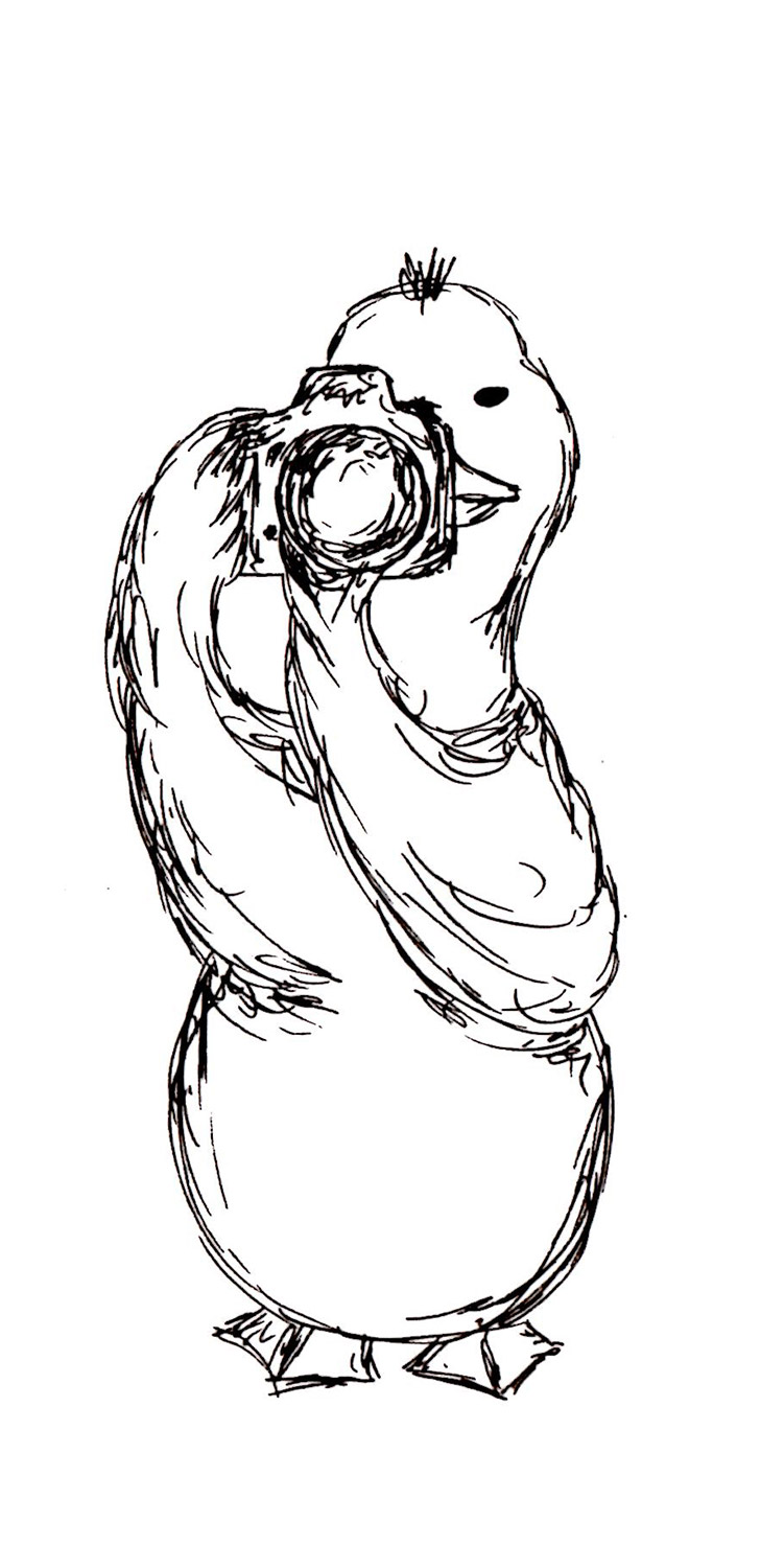 729x1500 Wedding Ducks Studio 12