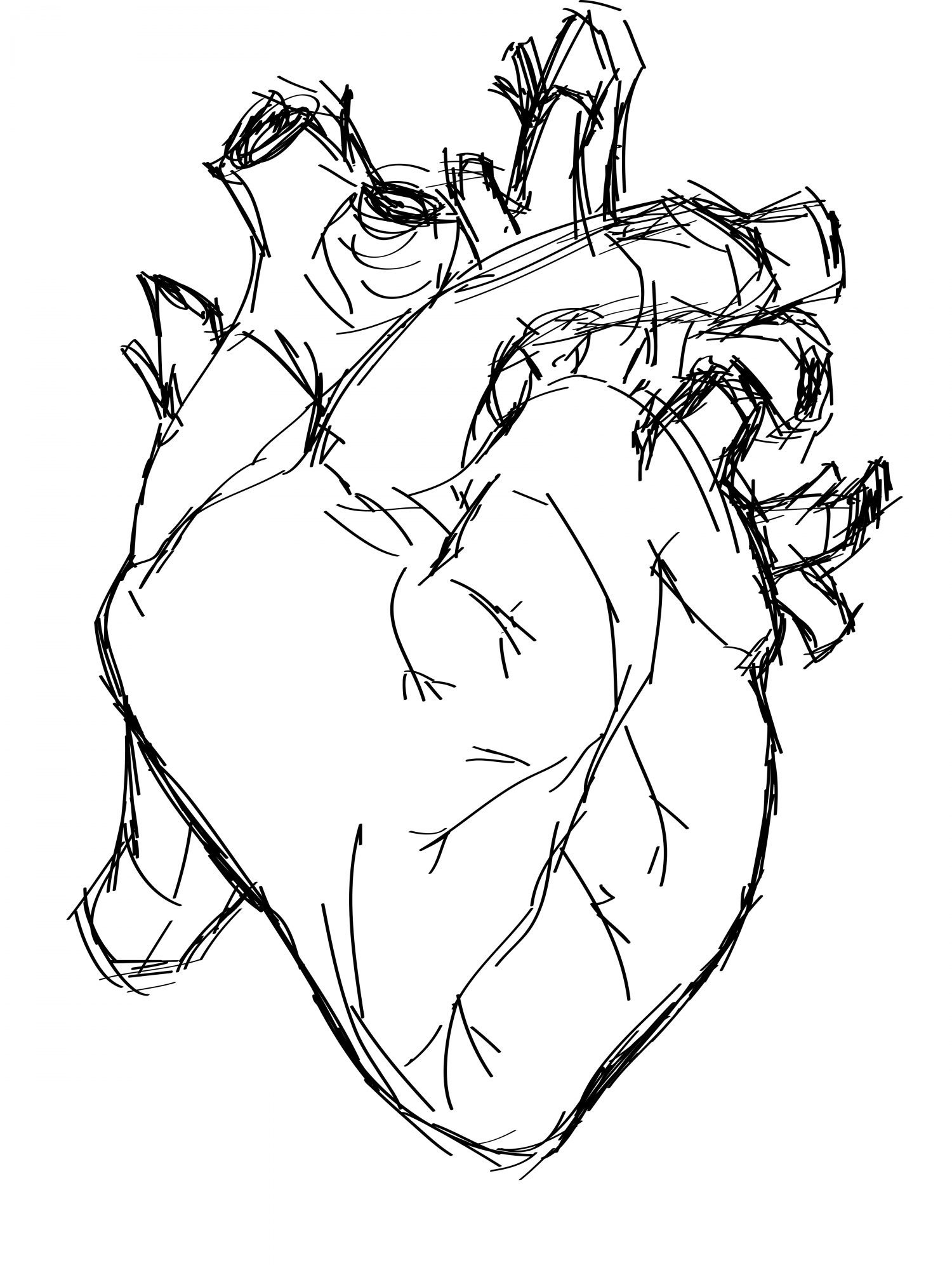 1500x2000 You Are An Artist Photographer