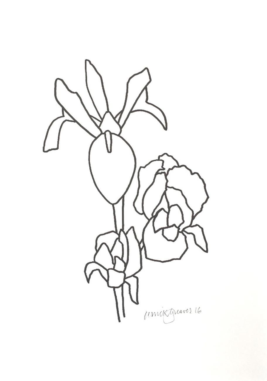 911x1300 Iris Drawing 08
