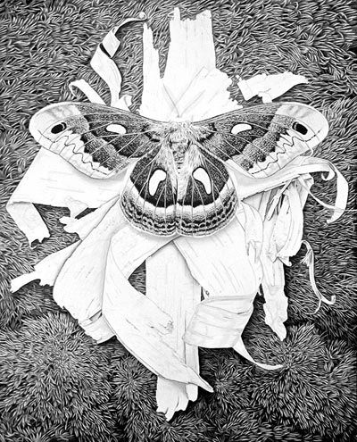 400x495 Step By Step Demo Details In Graphite And Acrylic