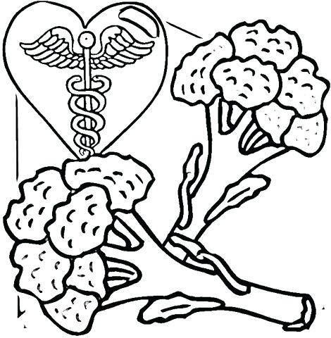 470x480 Elegant Healthy Foods Coloring Pages Image Best Photos Of Exercise