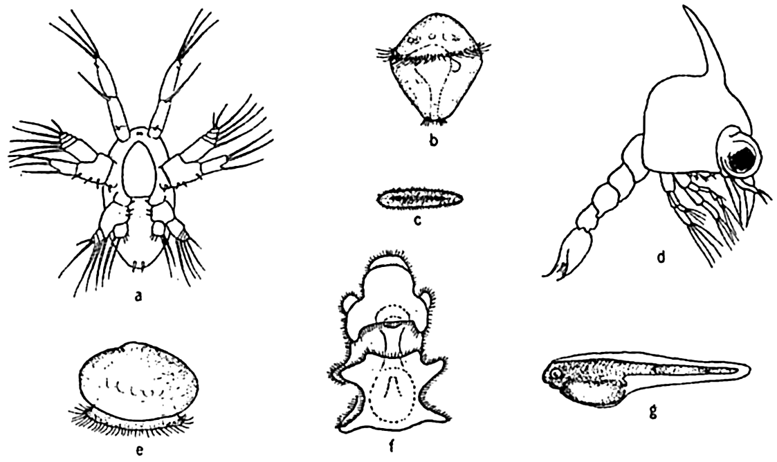 1123x668 Illustration