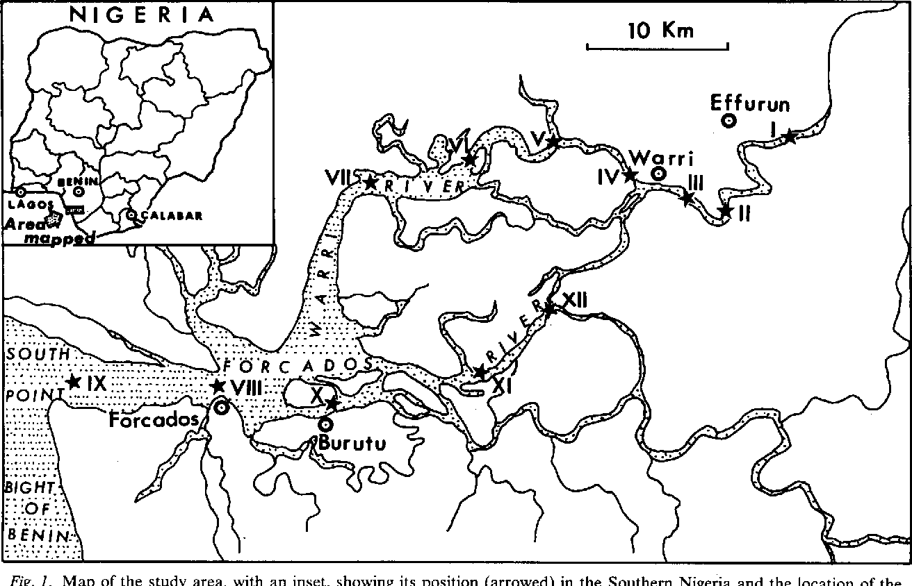 1312x844 Phytoplankton Flora In The Warriforcados Estuary Of Southern