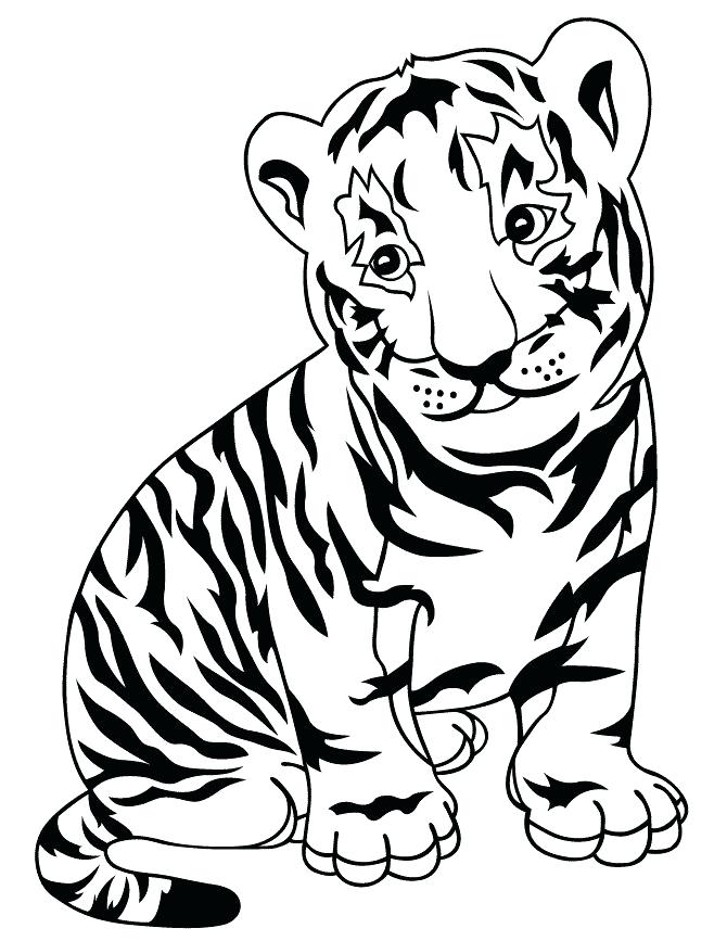 670x867 Baby Tiger Coloring Pages Animals Page A Nice Sketch Of White
