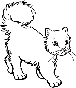 252x292 How To Draw A Cat With A Few Steps