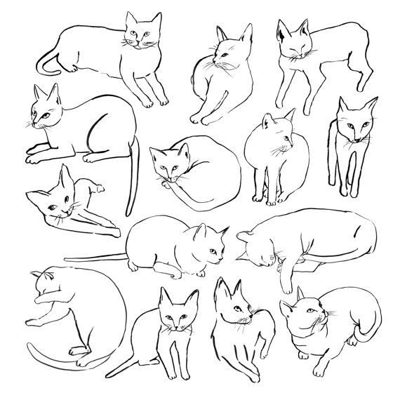 570x570 Picasso Cats Tote By Leahgoren On Etsy Illustrations +