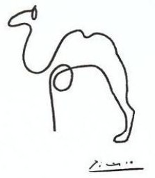 223x256 The Camel Picasso, Camels And Sketches