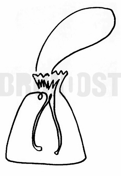 400x581 Bruno Ost One Line Drawing Inspired By Picasso.