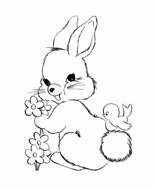 600x734 Easter Bunny Pick A Flower Coloring Page Batch Coloring