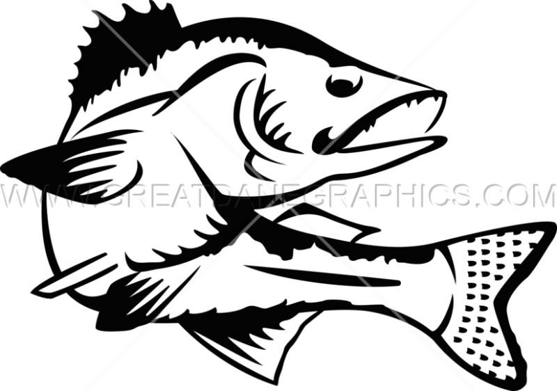800x562 Walleye Clip Art