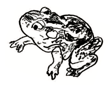 378x306 Cape Ann Vernal Pond Team