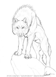 236x324 Simple Wolf Drawing Native American Simple Wolf