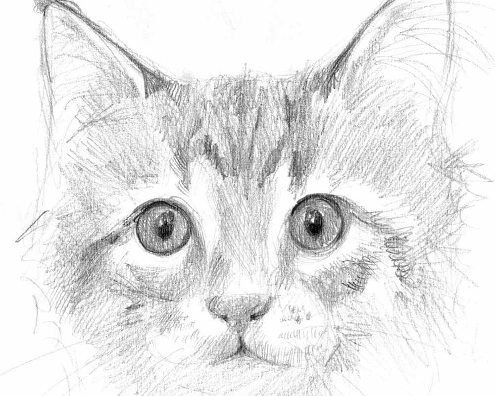 1000x800 Drawing Workshop For Youth Camrose Arts Society