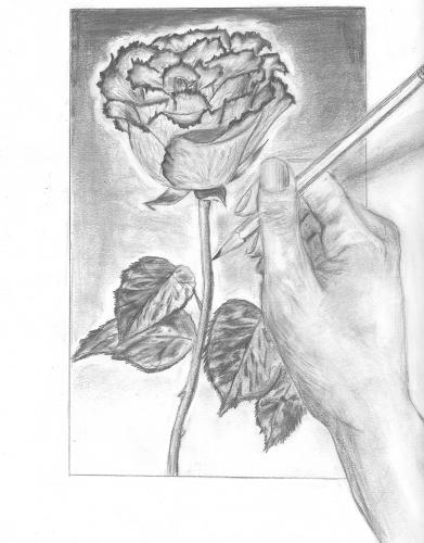 391x500 Person Drawing Rose