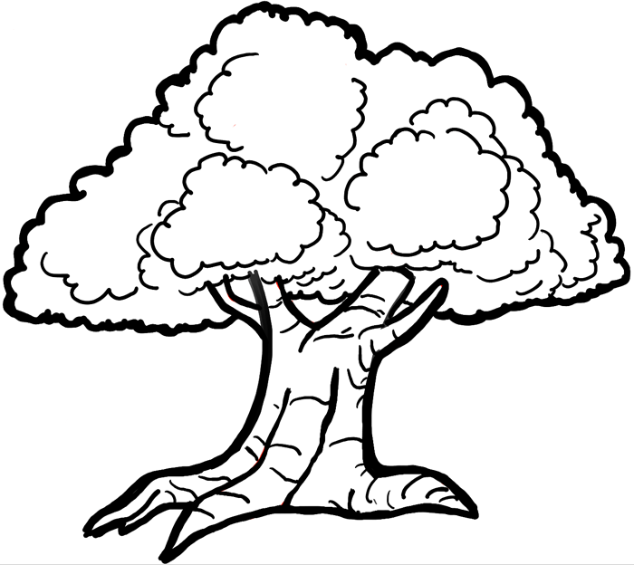 700x624 How To Draw Cartoon Trees With Easy Step By Step Drawing Tutorial