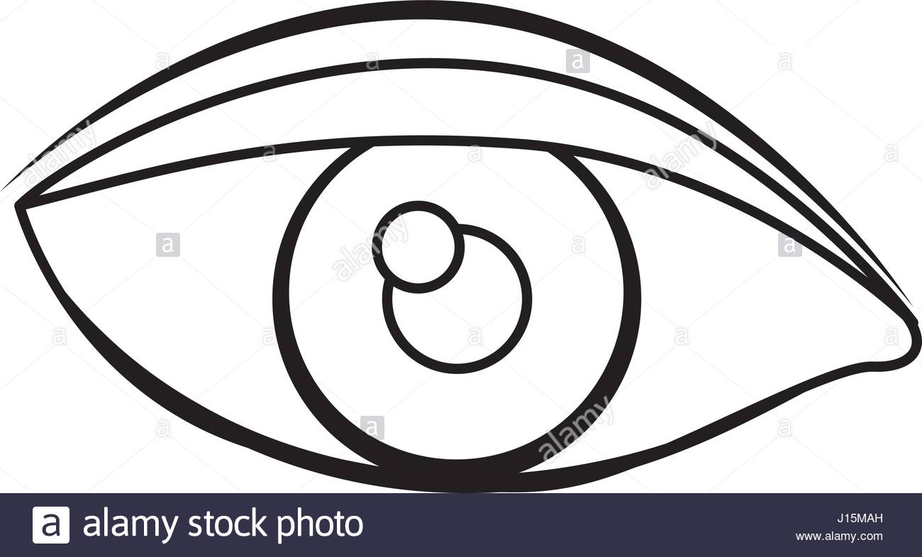1300x785 Silhouette Drawing Of Eye With Eyebrow Stock Vector Art